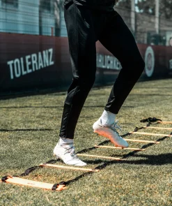 Échelle de coordination