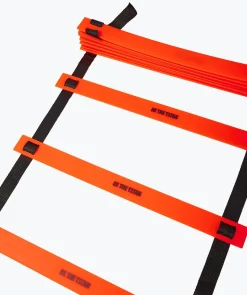 Échelle de coordination